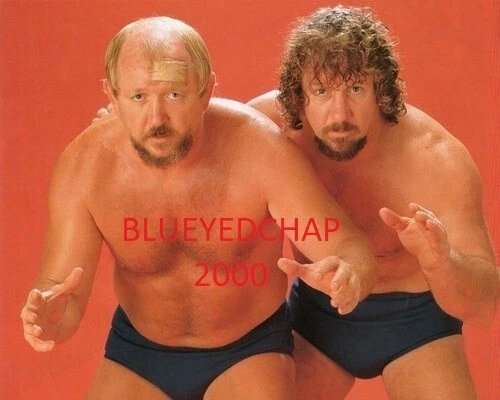 FOTO DE LUCHA LIBRE DORY & TERRY FUNK WRESTLER 8 X 10 NUEVA Foto 1 de 1
