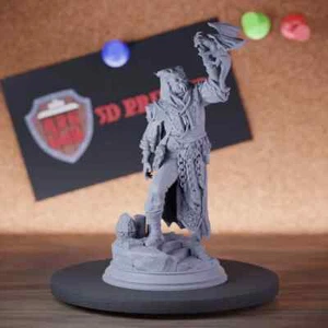 Dragon Warlock Miniatur Tiefling Dungeons and Dragons Mini DnD 5e TTRPG - Bild 1 von 8