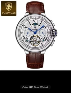 POEDAGAR Luxury Hollow Tourbillon Automatico Meccanico Orologio Uomo Impermeabile... - Foto 1 di 9