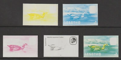 4284 - ЛЕСОТО 1981 - ЕГИПЕТСКИЙ ГУСЬ набор oof 5 IMPERF ПРОГРЕССИВНЫЕ ЦВЕТОВЫЕ ДОКАЗАТЕЛЬСТВА - Изображение 1 из 2