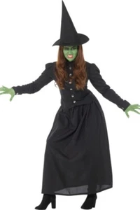 Karnival Wicked Witch Wizard of Oz Classic Movie Adult Halloween Costume 81016 - Picture 1 of 5