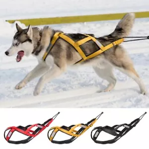 Sledding Dog Weight Pulling Harness Strong X-Back Adjustable Sport Training Vest - Picture 1 of 29