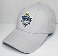 Erie Seawolves MiLB New Era 39Thirty Flex Fitted Hat Size Medium/Large