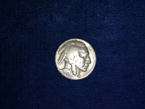 1920 P Büffelnickel - Bild 1 von 2