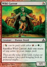 WILD CANTOR X4 4 4X Guildpact MTG Magic the Gathering Cards DJMagic