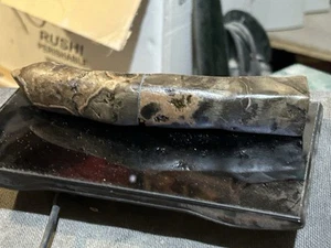 Auténtico fósil (garra) T-Rex de 6,5" de largo América del Norte/Utah - Imagen 1 de 6