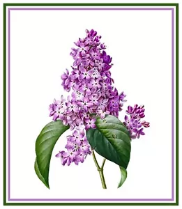 Redoute Flower Lilac Counted Cross Stitch Chart Pattern - Picture 1 of 4