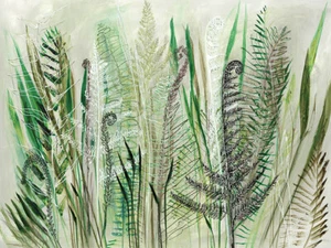 Shyama Ruffell - Ferns II - Canvas Print Wall Art - 2 sizes available - Picture 1 of 1