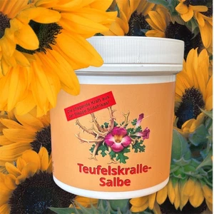 5 x Teufelskralle Salbe 250ml Creme - Bild 1 von 2