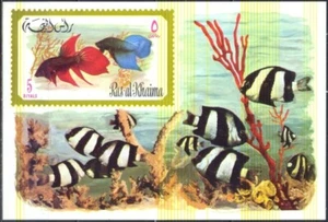 Tropical Fish Mint Never Hinged Souvenir Sheet Ras Al Khaima Issued 1972 BARGAIN - Picture 1 of 1