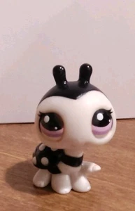 Black & White Ladybug Littlest Pet Shop LPS Hasbro - Bild 1 von 4