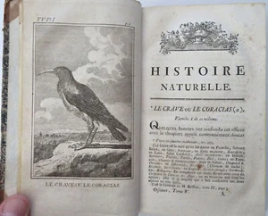 Ornithology Natural History of Birds Buffon 1790 illustrated book 15 bird plates - Picture 1 of 9