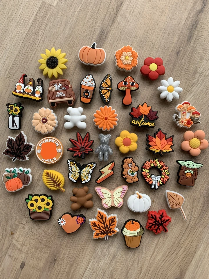 Autumn Clog Charms Shoe Charm Pumpkins Fall Autumnal Flower Butterfly Sunflower