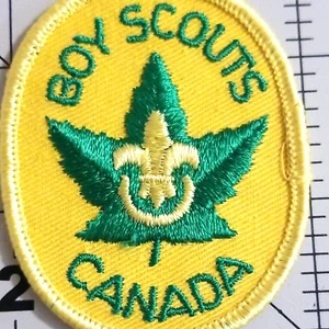 Patch Boy Scouts Canada Yellow Fleur de lis On Leaf BSC Vintage - Picture 1 of 3