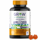 Viva Naturals- Organic Apple Cider Vinegar Gummies  60 ACV Great Tasting Gummies