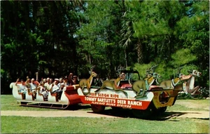 Sleigh-riding Silver Springs Florida Postcard - Picture 1 of 2