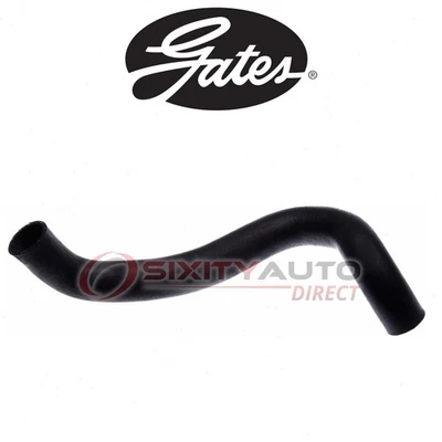 Gates Lower Radiator Coolant Hose for 1998-1999 Nissan Sentra 2.0L L4 - yu Foto 1 de 4