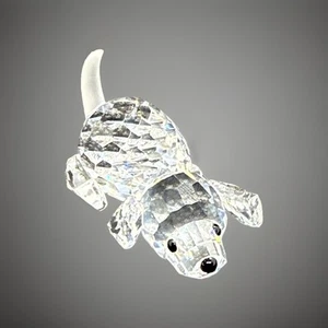 Swarovski Crystal Figurine Peaceful Countryside Playing Lab Puppy #5723657 - Picture 1 of 9