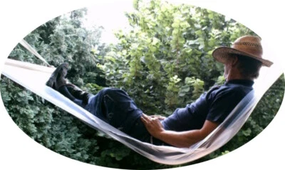 JEHAFOL Folie für Gewächshaus 1,94 €/m² Gewächshausfolie transparent Gewächshaustunnel