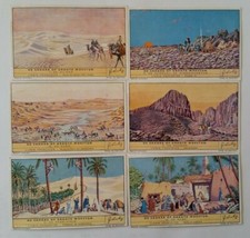 Foreign Love Series: De Sahara of Groote Woestijn 