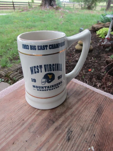 WVU Mountaineers Football 1993 Undefeated Perfect Season Stein Mug West Virginia Cover