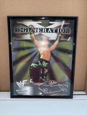 Póster fotográfico Shawn Michaels 8x10 Titan Sports vintage WWF WWE lucha libre DX 1998 Foto 1 de 4