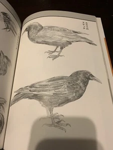 Drawing Japanese Birds Tattoo Art Reference Book Songbirds Crow Roosters Irezumi - Picture 1 of 10