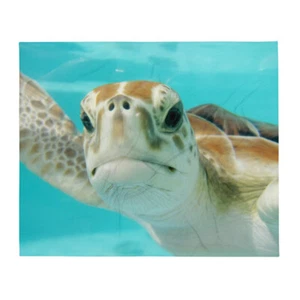 Manta de lanzamiento acuático para tortugas marinas - Imagen 1 de 1