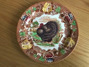 Vintage, Woods Burslem Floral 'Türkei' Speiseteller mit Blumenrand, 25,5 cm - Bild 1 von 8