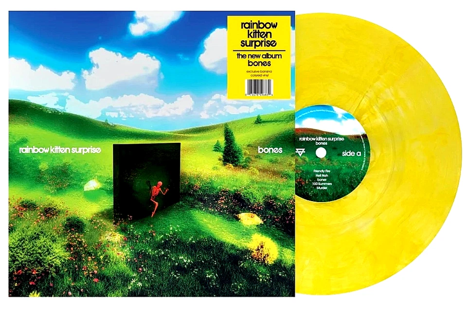 Rainbow Kitten Surprise Bones (Indie Banana Vinyl) Records & LPs