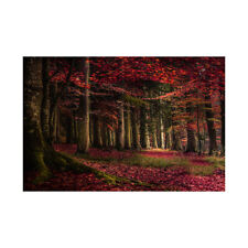 Fondo de estudio fotográfico de fotografía de bosque natural utilería 5x3 pies/7x5 pies
