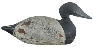 VINTAGE CANVASBACK DRAKE DUCK DECOY - Picture 1 of 10