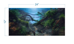Aquarium Background Mystical Tropical Jungle - vinyl graphic adhesive AQ0053 - Picture 1 of 12