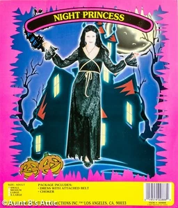 Vampire /Night Princess/ Witch Costume 2Pc Black Velour Dress & Necklace SM - Picture 1 of 1