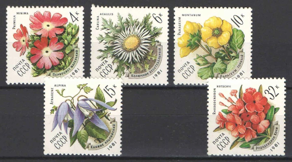 USSR / Soviet Union 1981. Flowers nice set MNH (**) - Image 1 of 1