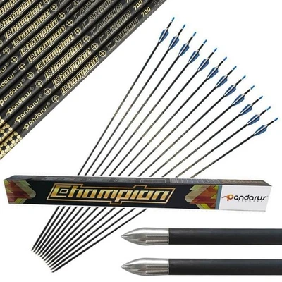 12pcs Pure Carbon Arrows SP400-1600 0.001" ID4.2mm Archery Bow Target PANDARUS - Image 1 of 4