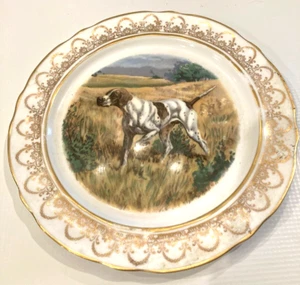 Vintage Arklow Fine Irish Bone China Zeiger Jagdhund 8" Teller Goldrand - Bild 1 von 5