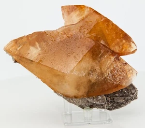 Dogtooth Honig Calcit Kristalle auf Baryt 1,50 Pfund Ulmenholz Mine Karthago TN H0029 - Bild 1 von 12