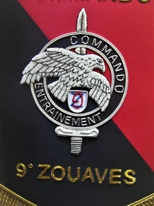 FANION (CANNETILLE) CENTRE ENTRAINEMENT DES COMMANDOS LE CEC 9° ZOUAVES - Picture 1 of 2
