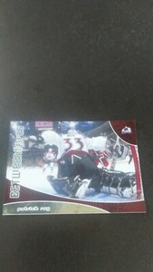 FREE SHIPPING-Patrick Roy-2001/02 Between the Pipes Hockey-no.94-Avalanche