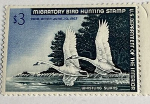 Stanley Sterns, Whistling Swans, 1967, RW 33,Federal Stamp, Mint, Full Gum - Picture 1 of 12
