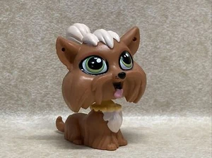 Littlest Pet Shop LPS #3802 Yorkie with Green Eyes Terri Bowman Preowned - Picture 1 of 5