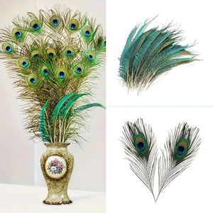 20 plumas naturales y laterales de espada de cola de pavo real para decoración de sombreros artesanales - Imagen 1 de 12