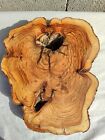 13" 33 cm bois d'olivier turc burl biscuit rond 200 ans brut, dalle de bois d'olivier