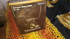 Velociraptor Skeleton Model Serie No.001 - Bild 1 von 5