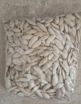 Toasted pumpkin seeds ~ salted ~1 lb - Image 1 of 2