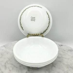 4er Set Corelle Spring Blossom Crazy Daisy Obst Beere Dessertschalen 5 3/8" Vintage - Bild 1 von 4