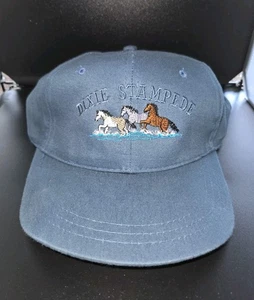 De Colección Dixie Stampede Trucker Sombrero Malla de Espuma Snapback Azul Rodeo Show Gorra - Imagen 1 de 5