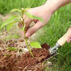 Weed Accessory Weed Puller Wood Grass Removal Hand Weeder Tool  Garden