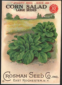 *Vintage* CORN SALAD Vegetable Seed Packet Front Only CROSMAN SEED 1930's *RARE* - Picture 1 of 1